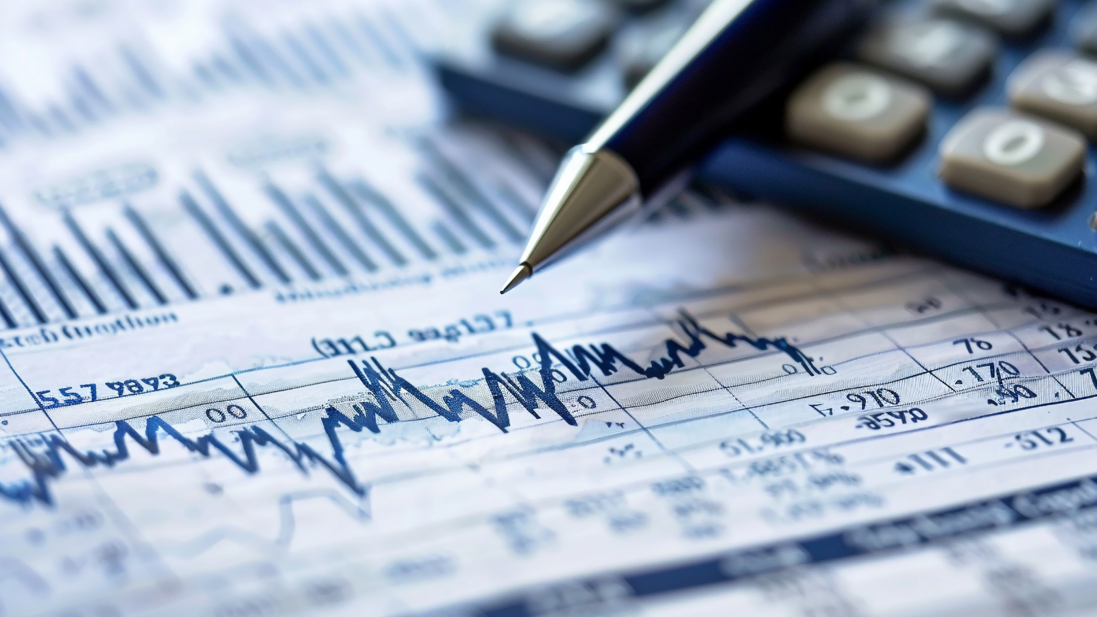 Economic and Asset Protection